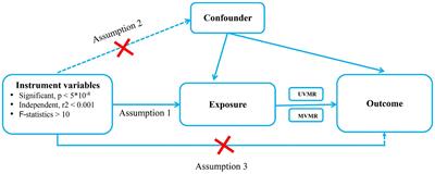 Causal associations between type 2 diabetes mellitus, glycemic traits, dietary habits and the risk of pressure ulcers: univariable, bidirectional and multivariable Mendelian randomization